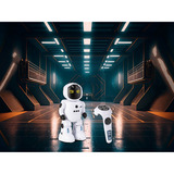 Revell RC Robot "Smart-R" 