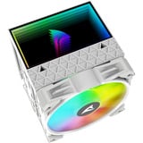 Sharkoon A60 RGB, CPU køler Hvid