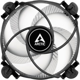 ARCTIC Alpine 17 Processor Luftkøler 9,2 cm Sort, Sølv 1 stk, CPU køler Sort/Hvid, Luftkøler, 9,2 cm, 100 rpm, 2000 rpm, 0,3 blæser, Sort, Sølv