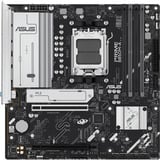 ASUS Bundkort 