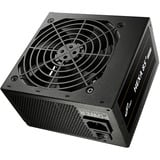 FSP HEXA 85+ PRO 550W, PC strømforsyning Sort