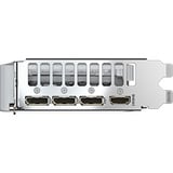 GIGABYTE Grafikkort 