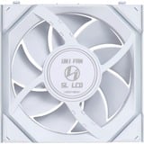 Lian Li LULI-096, Sag fan Hvid