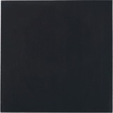 Thermal Grizzly Minus Pad Advance - 100x100x1,0 mm, Termiske puder 