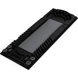 ASUS ProArt PA40SU SSD Enclosure, Drev kabinet Sort