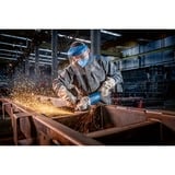 Bosch GWS 2200 P PROFESSIONAL vinkelsliber 23 cm 6500 rpm 2200 W 5,3 kg Blå, 6500 rpm, 23 cm, Vekselstrøm, 5,3 kg