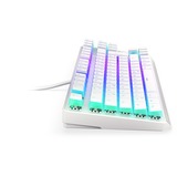 ENDORFY Gaming-tastatur Hvid, DE-layout, Kailh RGB Brun