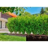 GARDENA 13504-20, Drippers Sort