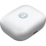 Motorola Moto Buds Hovedtelefoner Trådløs I ørerne Opkald/Musik/Sport/Hverdag Bluetooth Blå, Headset Lyseblå, Trådløs, Opkald/Musik/Sport/Hverdag, Hovedtelefoner, Blå
