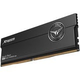 Team Group FFXD548G8000HC38EDC01, Hukommelse Sort