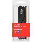 ADATA LANCER BLADE hukommelsesmodul 16 GB 1 x 16 GB DDR5 288-pin DIMM Fejlkorrigerende kode Sort, 16 GB, 1 x 16 GB, DDR5, 6000 MHz, 288-pin DIMM, Sort