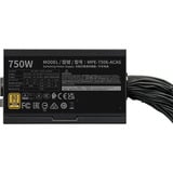 Cooler Master MPE-7506-ACAG-BEU, PC strømforsyning Sort