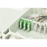 Digitus FTTH/FTTB-tilslutningshus - udstyret, OS2 12 fibre, Splejse boks grå