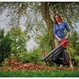 EINHELL 3433625, VENTURRO 18/210, Løvblæsere VAC/suger Rød/Sort