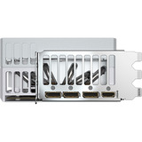 GIGABYTE Grafikkort 