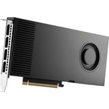 PNY NVIDIA RTX PRO 4000 Blackwell 24GB SB, Grafikkort Bulk