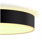 Philips Hue White Ambiance Enrave loftlampe L, LED lys Sort