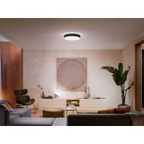 Philips Hue White Ambiance Enrave loftlampe L, LED lys Sort