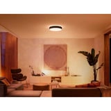 Philips Hue White Ambiance Enrave loftlampe L, LED lys Sort
