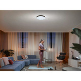 Philips Hue White Ambiance Enrave loftlampe L, LED lys Sort