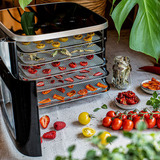 Rommelsbacher Mini dehydrator DA 450, Tørremaskine rustfrit stål/Sort