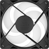 ARCTIC P14 Pro Reverse A-RGB, Sag fan Sort