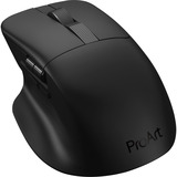 ASUS ProArt Mouse MD301, Mus Sort
