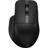 ASUS ProArt Mouse MD301, Mus Sort