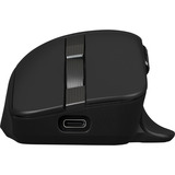 ASUS ProArt Mouse MD301, Mus Sort