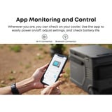 Anker SOLIX EverFrost 2 køleboks 40 L Elektrisk Sort grå/Sort, Sort, 2 hjul, Sort, 40 L, -20 - 20 °C, 45 dB