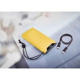 Intenso Powerbank F10000 Gul, Power Bank Gul