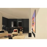 LG OLED-TV Sort