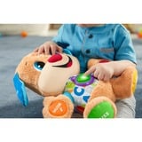 Mattel Laugh & Learn FPM50 legetøj til læring, Plysdyr multi-coloured/lys brun, 0,5 År, Klingende, Flerfarvet