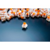 Razer Orange Switch-Set, Nøglekontakt Orange/gennemsigtig