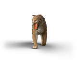 Schleich 15054, Spil figur 