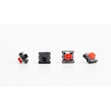 Keychron G190, Key switch gennemsigtig
