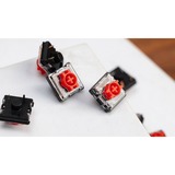 Keychron G190, Key switch gennemsigtig