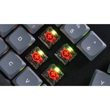 Keychron G190, Key switch gennemsigtig