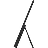 MSI PRO MP165 E6, LED-skærm Sort