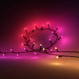 Philips Hue Hue White & Color Ambiance Festavia Lyskæde 20m, Lyskæder 