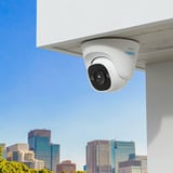 Reolink P324, Overvågningskamera Hvid