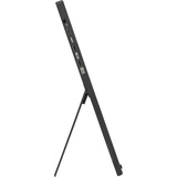 ASUS ZenScreen MB16FC, LED-skærm Sort