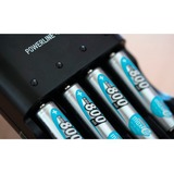 Ansmann 800 mAh - Micro / AAA / HR03 Nikkel-Metalhydrid (NiMH), Batteri Sølv, AAA, Nikkel-Metalhydrid (NiMH), 1,2 V, 800 mAh, 10.5 x 44.5