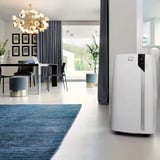 DeLonghi PAC EX93 Extreme, Klimaanlægget Hvid