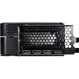 Gainward GeForce RTX 5090 Phantom Renoveret, Grafikkort 