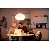 Philips Hue Flourish pendel, LED lys Hvid, Philips Hue White and Color ambiance Flourish pendel, Intelligent affjedringslys, Hvid, Bluetooth, LED, Ikke-udskiftelig pære(r), Hvid