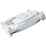be quiet! Silent Wings 4 PWM high-speed 120x120x25, Sag fan Hvid