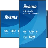 iiyama Offentlig visning Sort (mat)