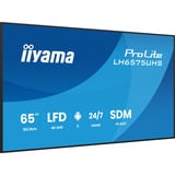 iiyama Offentlig visning Sort (mat)