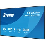 iiyama Offentlig visning Sort (mat)